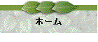 z[